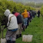 Nueva Zelanda pone freno a la migracion