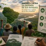 América Latina busca liderar la defensa global de los bosques con una hoja de ruta impulsada por la sociedad civil